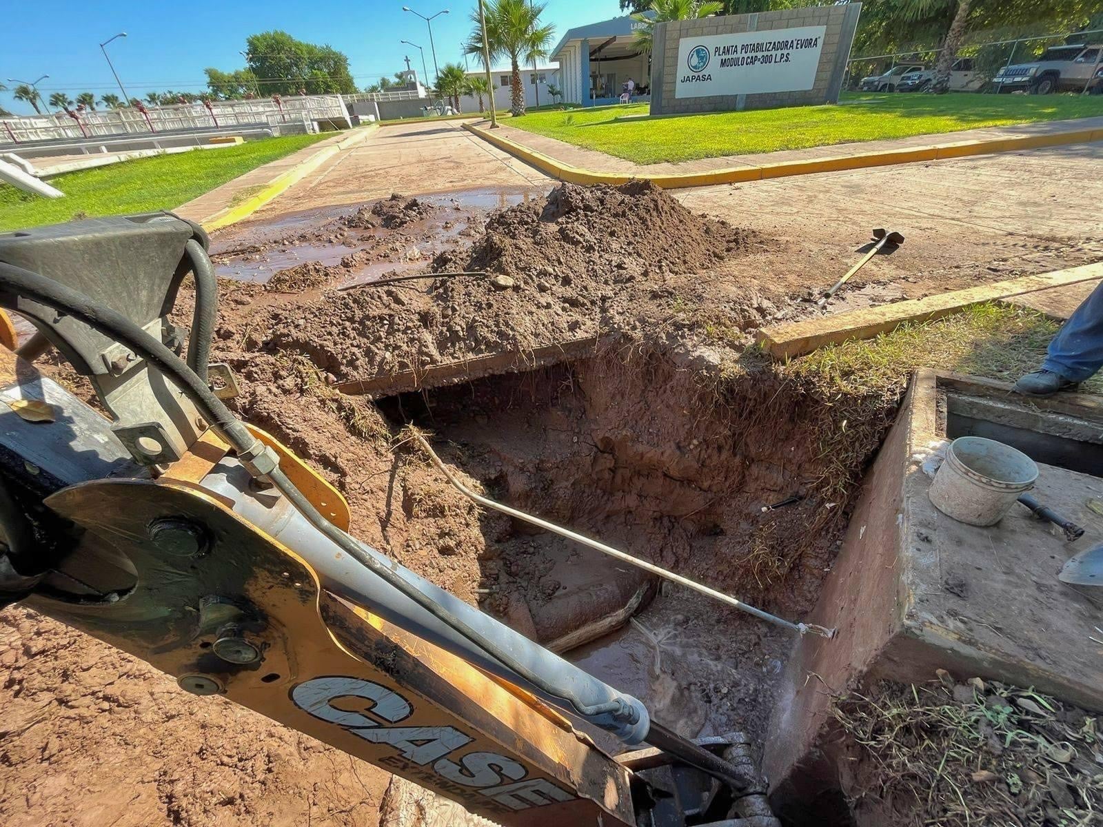 Guamúchil, Salvador Alvarado