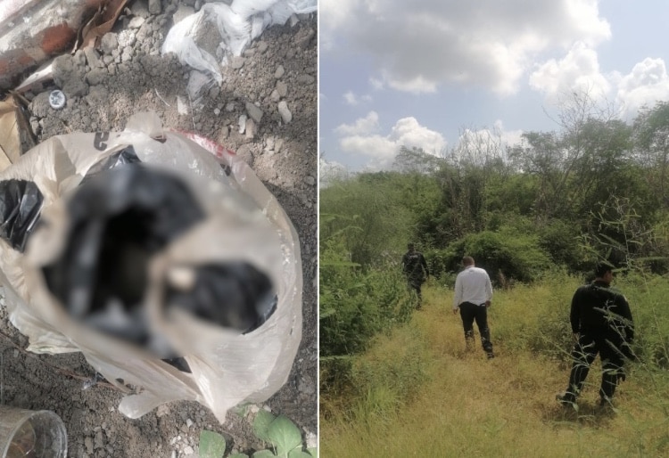 Bebé Culiacán, Culiacán