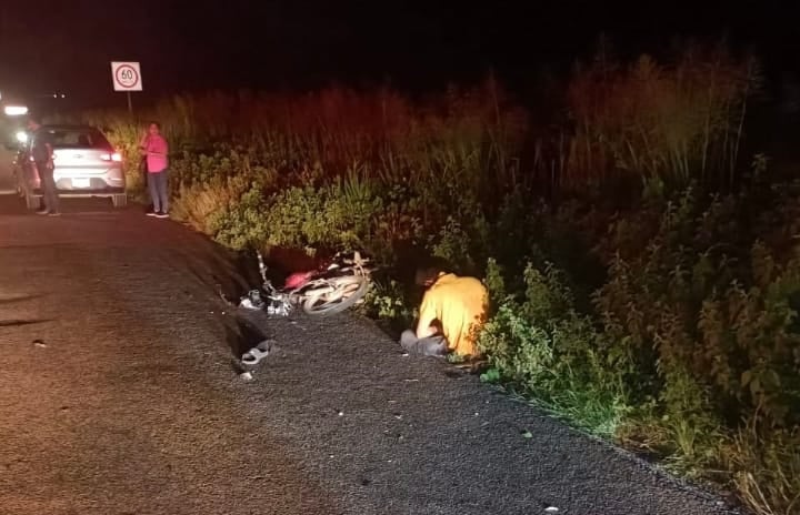 accidente, Mazatlán, motociclista, vaca