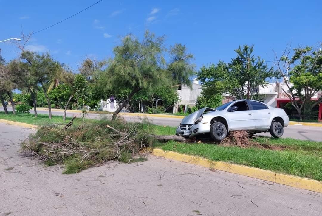 accidente, arbol, Colisión, Mazatlán