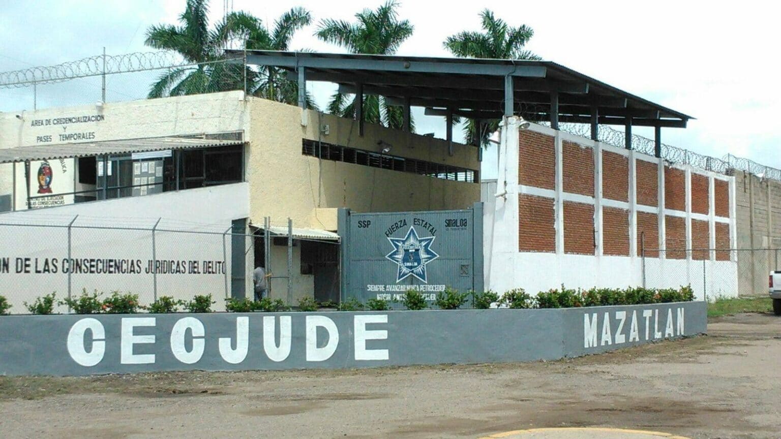 Mazatlán, Muerto, Reo