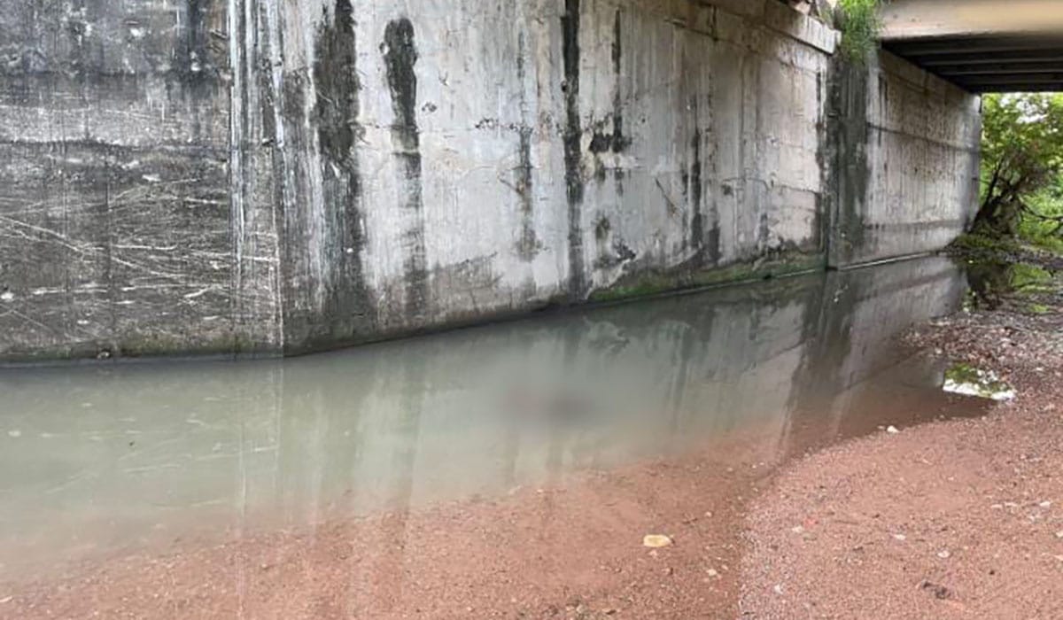 arroyo, Cuerpo, Escuinapa