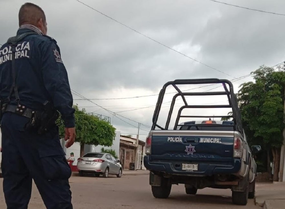 Culiacán, Herido, Robó
