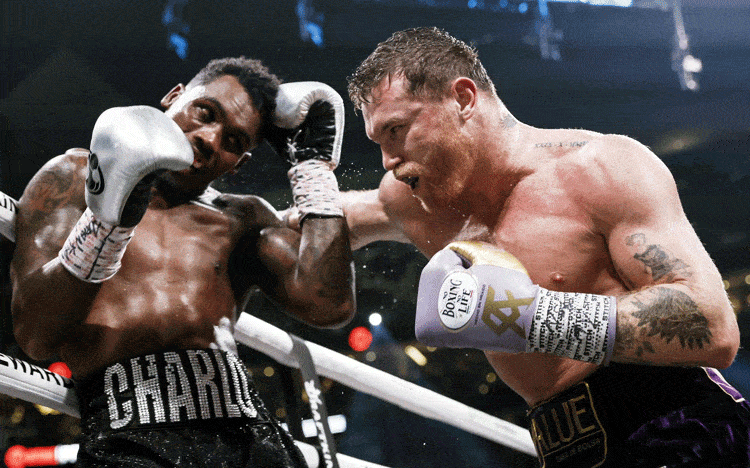 box, canelo, Deportes