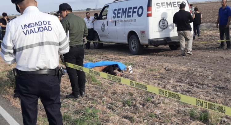 Culiacán, Homicidio, repartidor