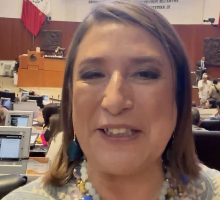 plagio, unam, Xóchitl Gálvez