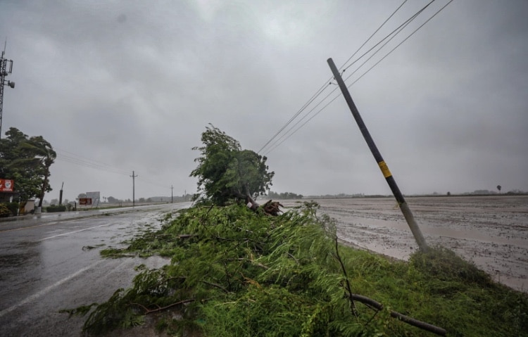 Altata, Tormenta Norma