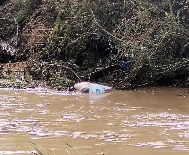 Ahogado, desaparecido, Mazatlán