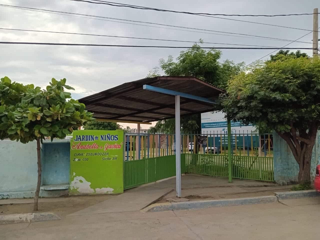 aves carroñeras, heridos, kínder, Mazatlán