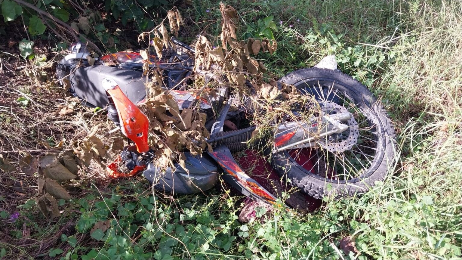 Cuerpo, hallazgo, Mazatlán