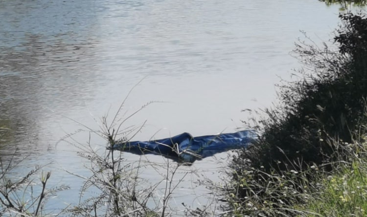 ahome, Cuerpo, Los Mochis