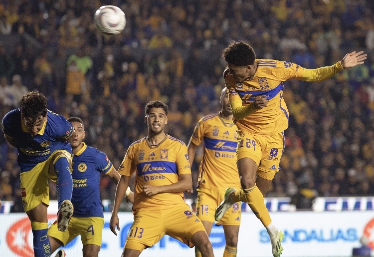 america, Tigres
