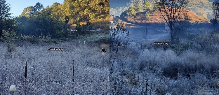 Badiraguato, clima, Surutato