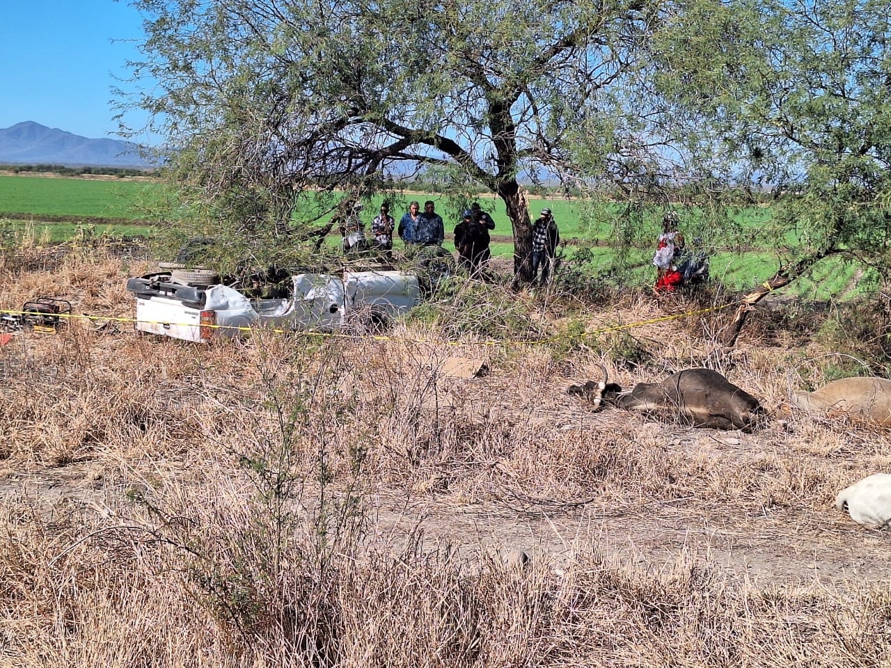 accidente, El Fuerte, Volcadura