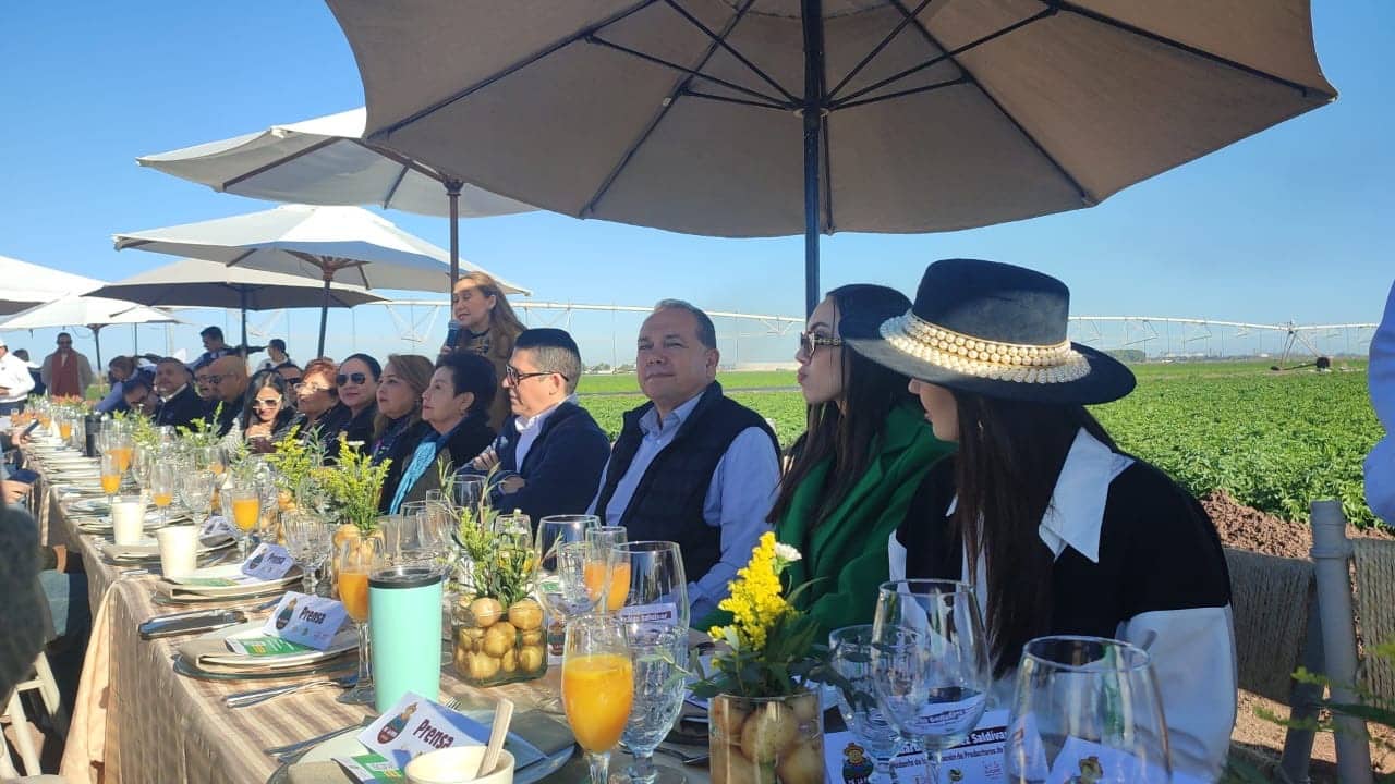 festival de la papa, Los Mochis