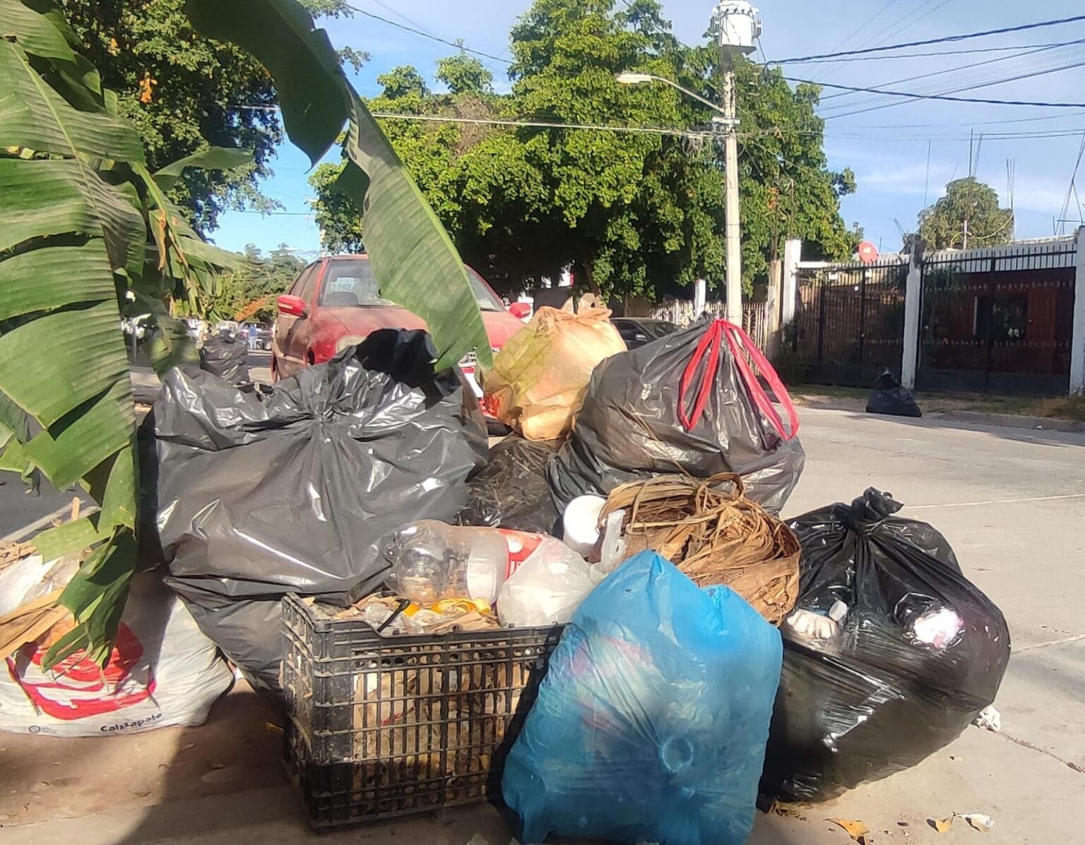 basura, Los Mochis, OP Ecología