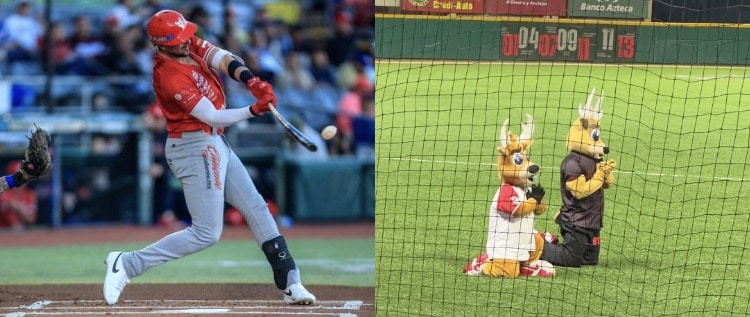 Liga Arco, LMP, Venados