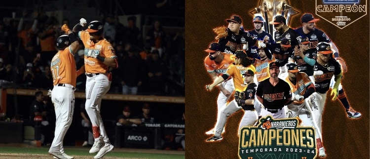 Béisbol, Liga Arco, Naranjeros