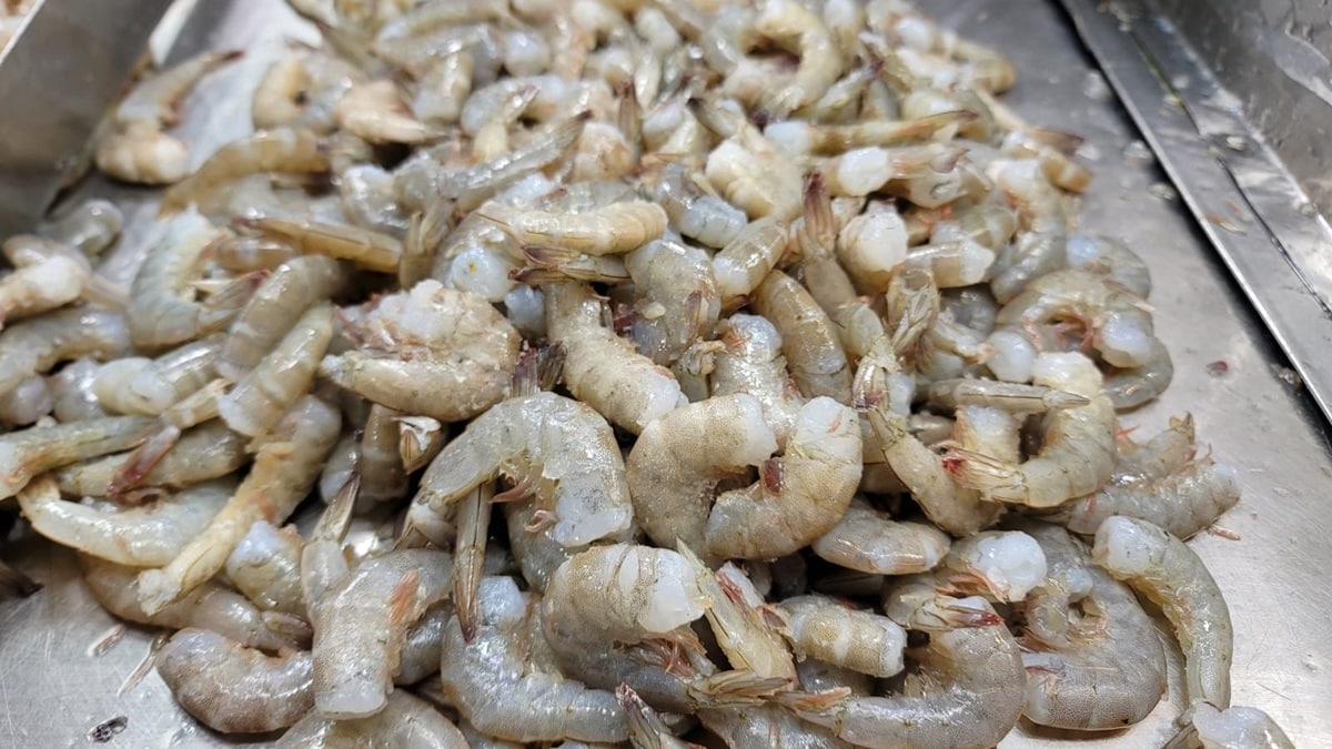 conapesca, norte de Sinaloa, veda camaron