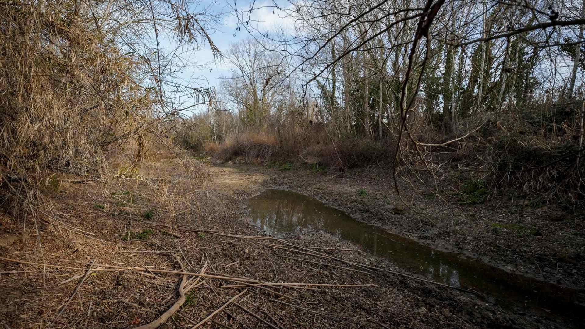 clima, la niña, México