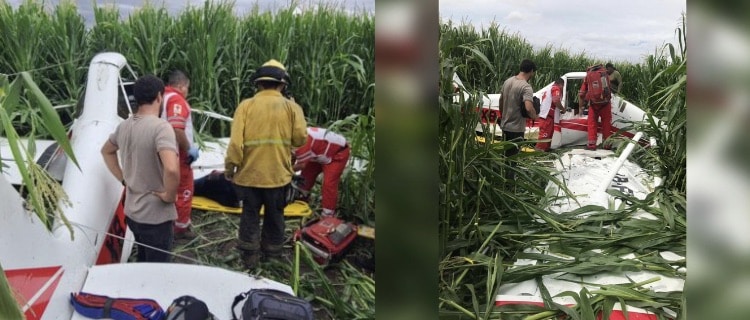 avioneta, avioneta Culiacán, Fumigacion