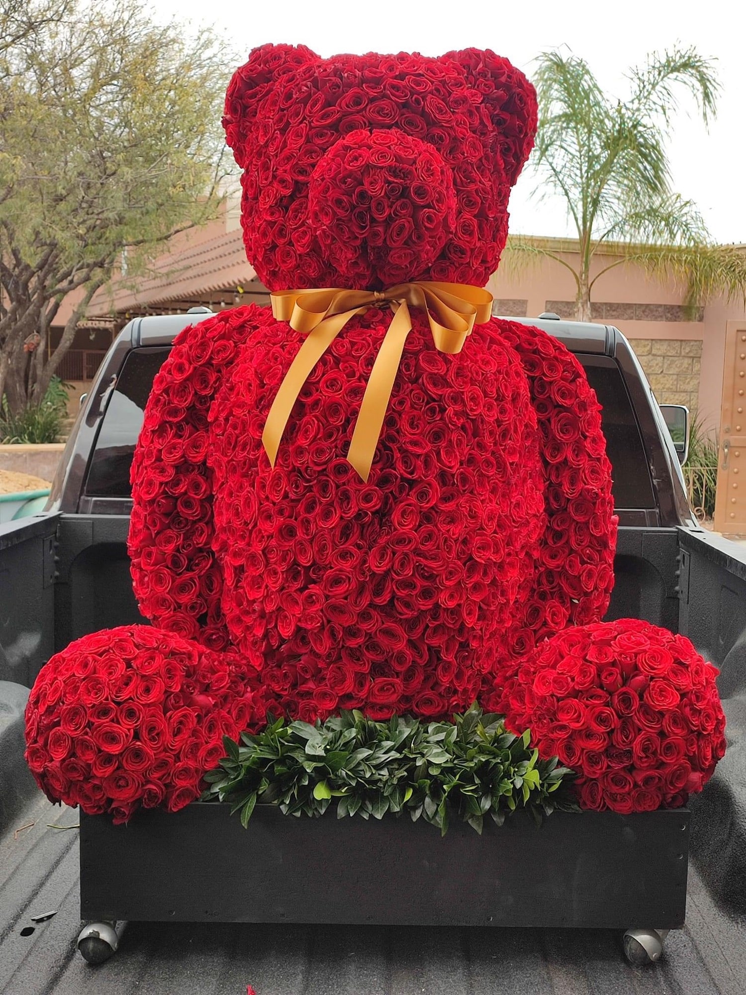 Oso, Rosas rojas, San Valentín