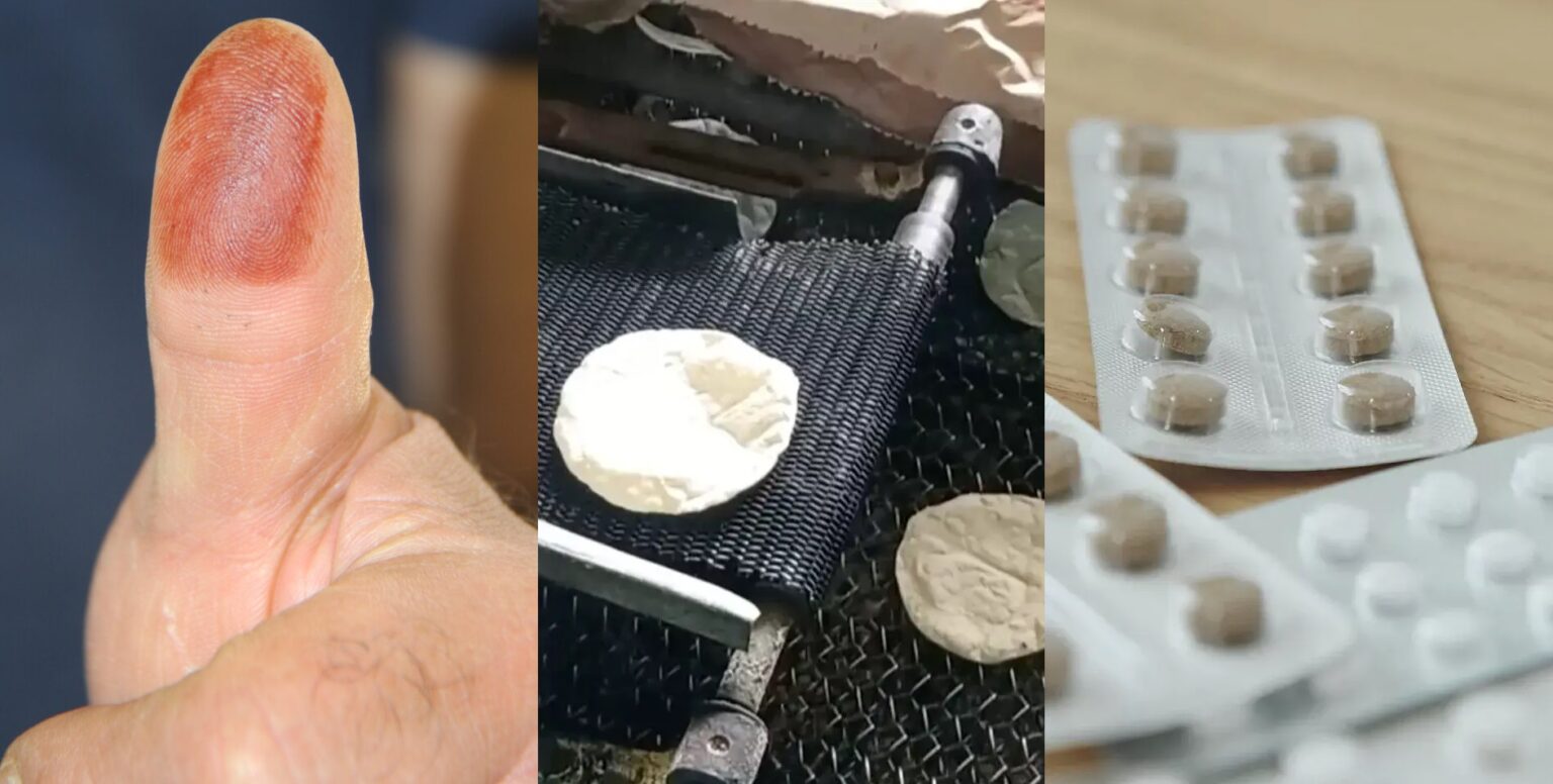 celebración, mexicanos, tecnología