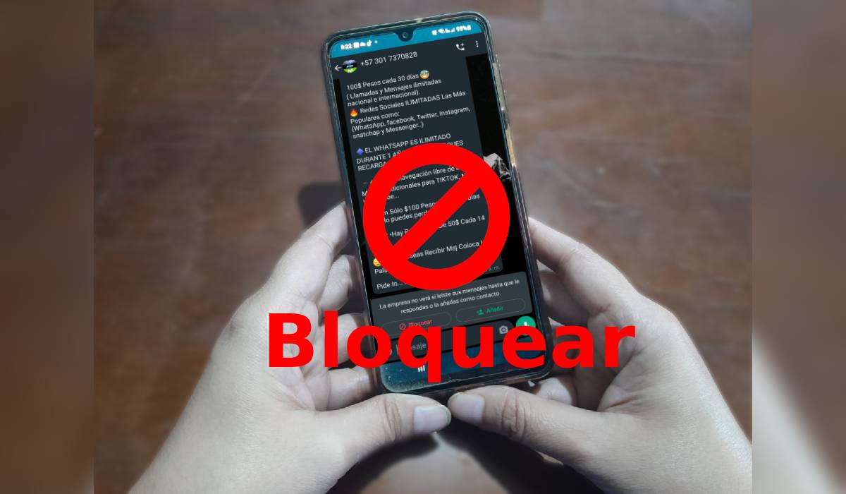 privacidad, Seguridad, WhatsApp