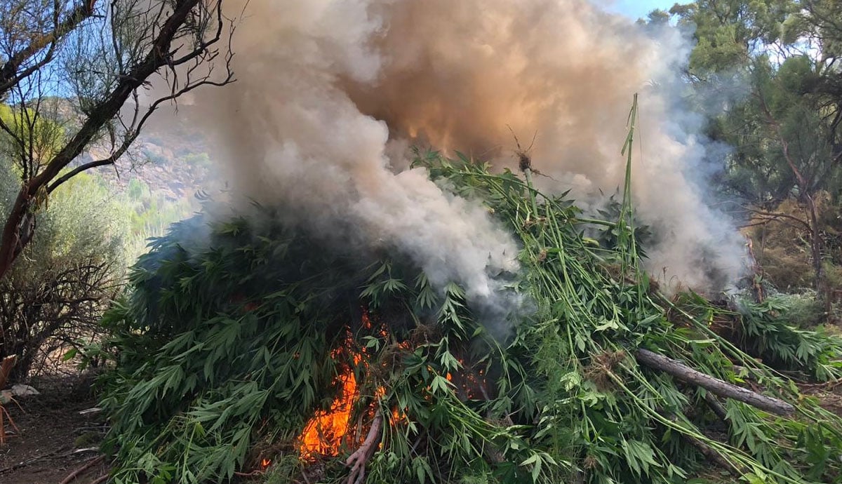 Elota Sinaloa, Militares Culiacán