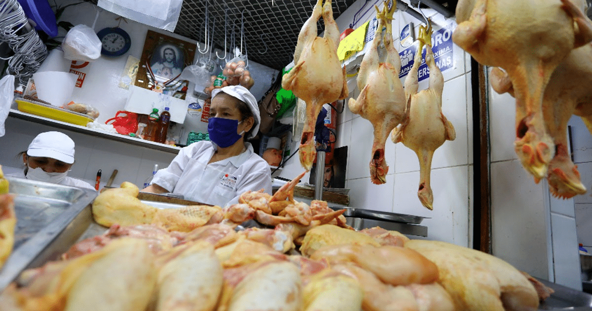 alerta, consumo, pollos