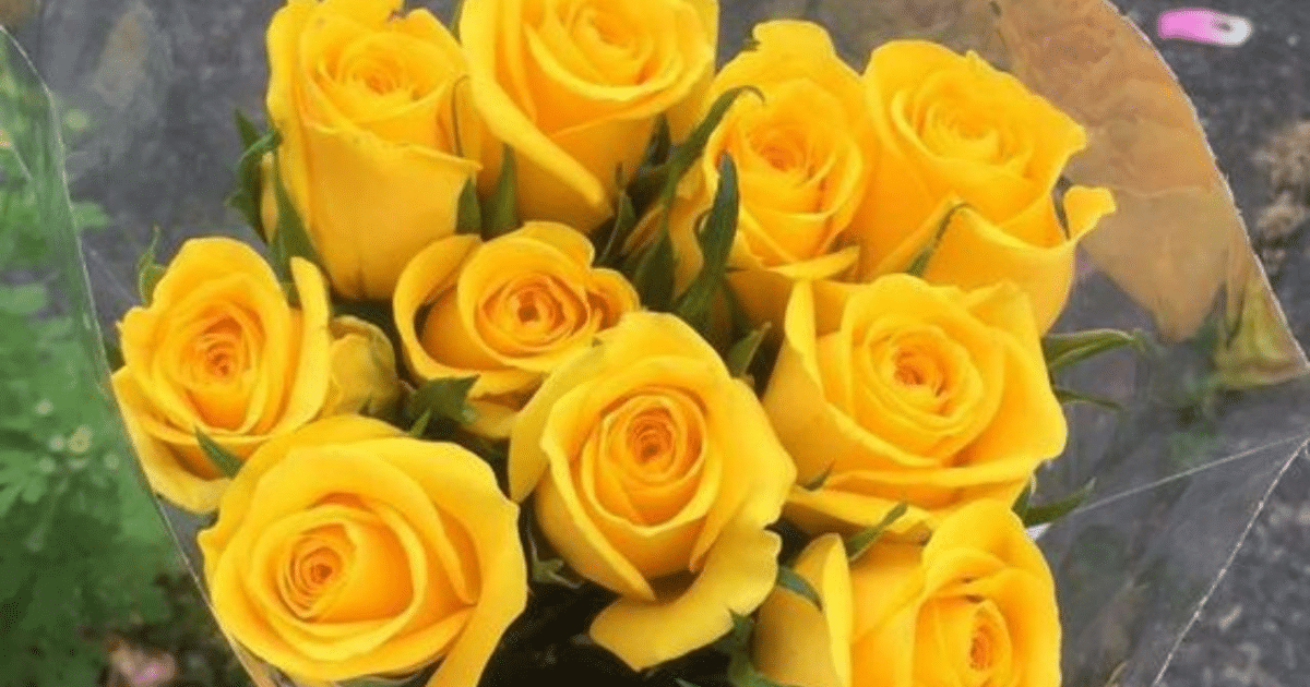 Flores, primavera, tradición