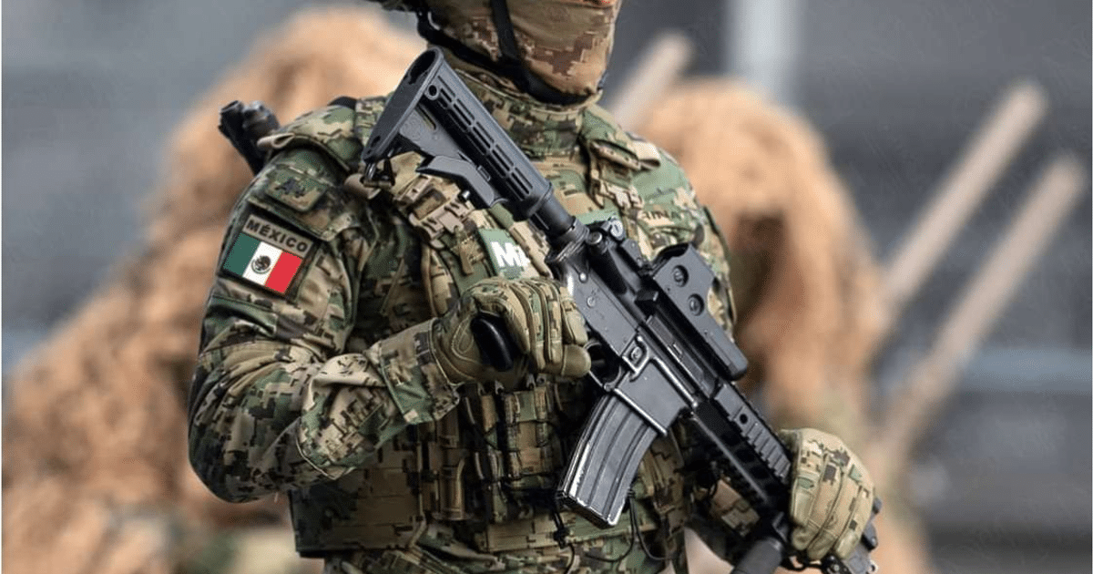 Fuerzas Especiales, Sinaloa