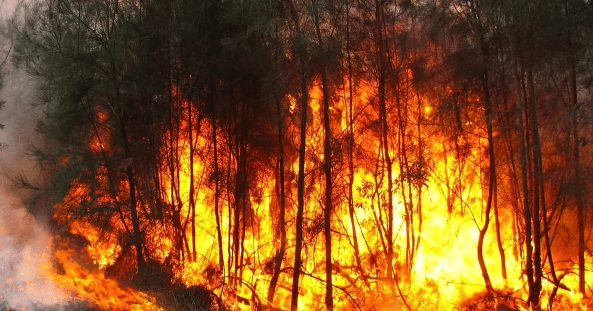 bomberos, CDMX, IncendiosForestales