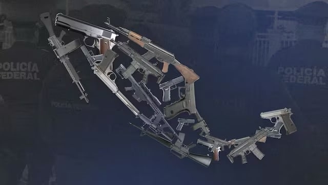 armas, México, SEDENA