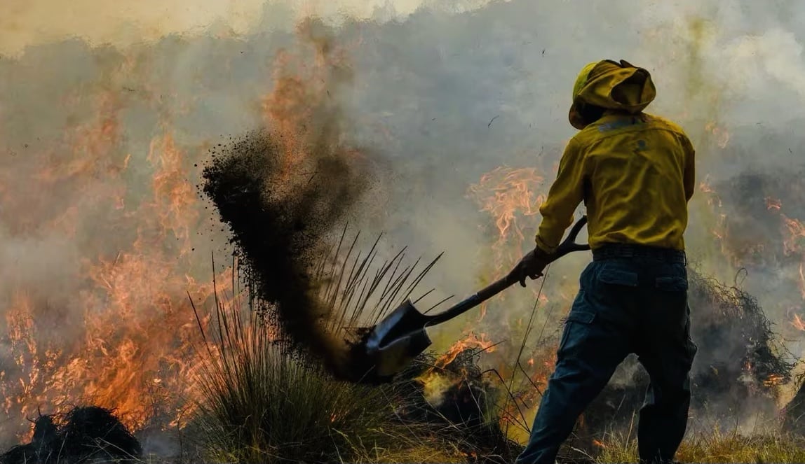 Conafor, incendio, Incendio Forestal, México