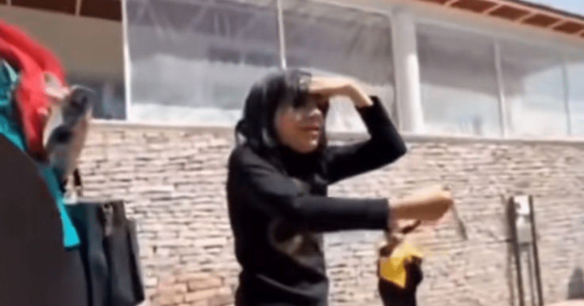 eclipse, Gringos, mirador