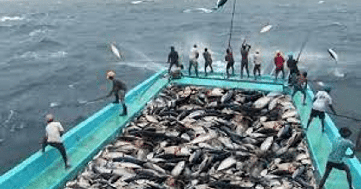 CDMX, Pesca, Sinaloa