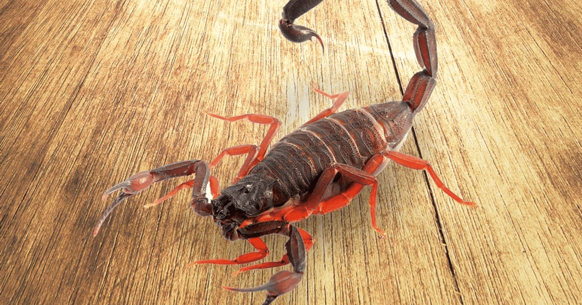 Escuinapa, medidas preventivas, tragedia