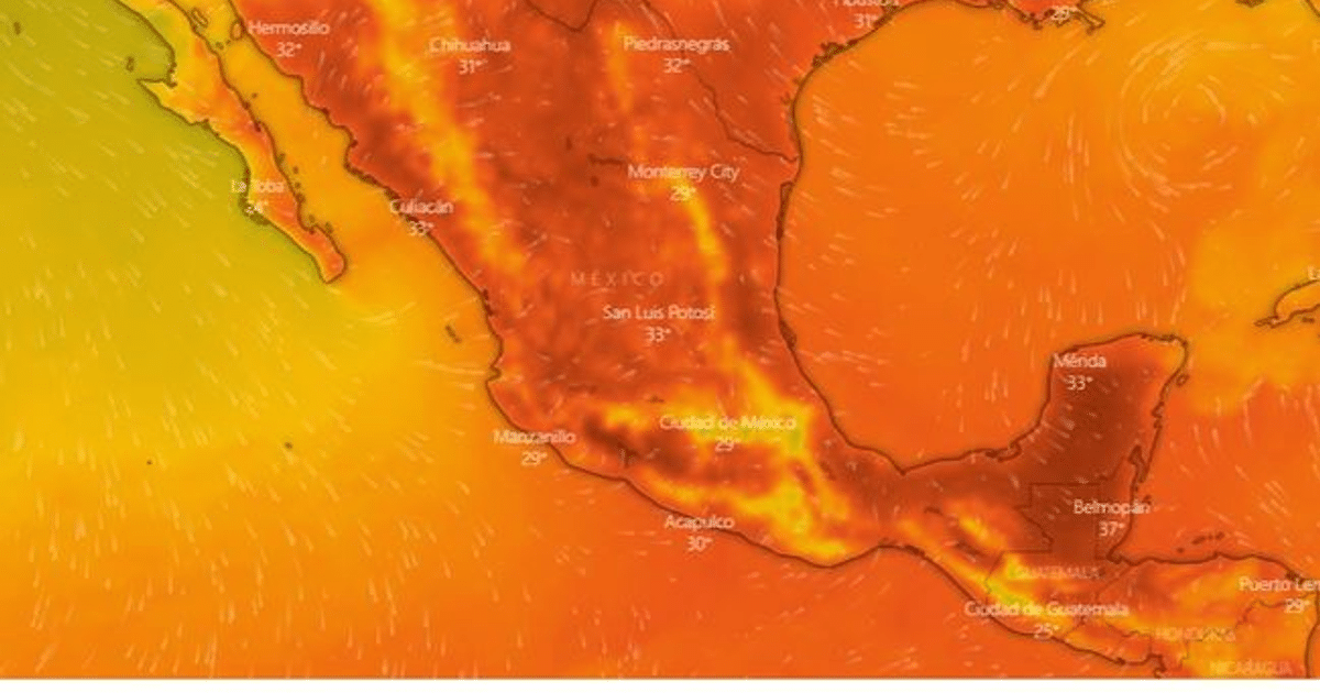 clima, ola de calor, Prevención