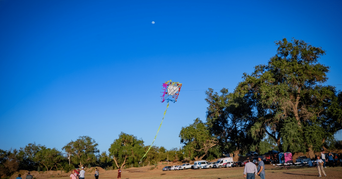 Dia del niño, Guasave, ventas