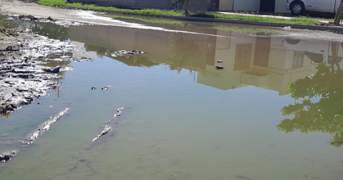 ahome, campaña, Mingo Vásquez