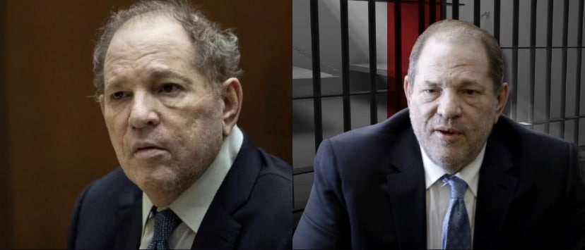 Harvey Weinstein, internacionales