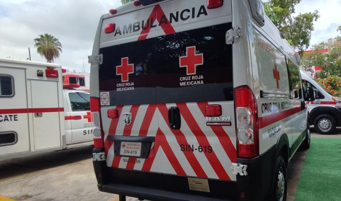 fallecido, Mazatlán, picadura de abejas