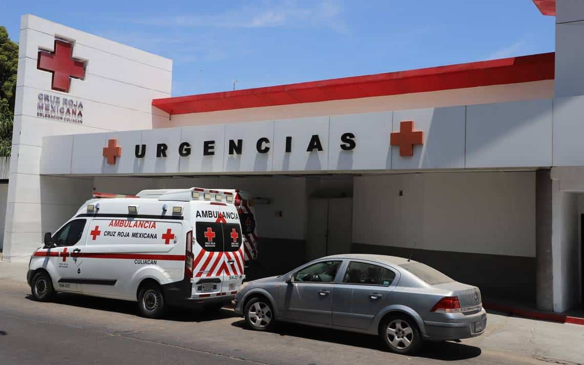 ataque abejas, Cruz Roja, mujer