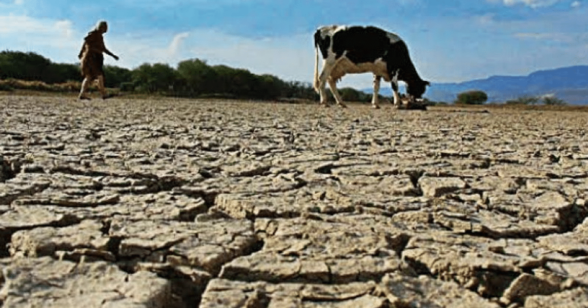 ahome, Guasave, sequia