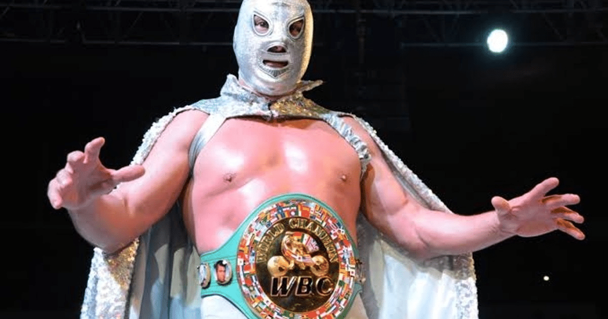 El Santo, luchador, Retiro