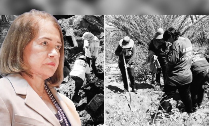 desaparecidos, Sara Bruna, Sinaloa