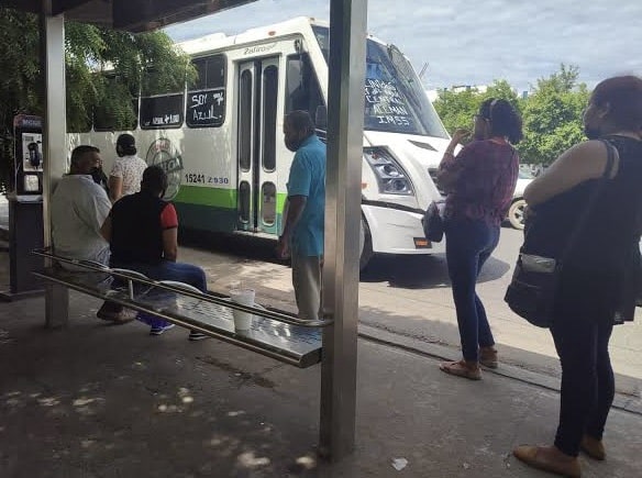 camiones, Mazatlán, votación
