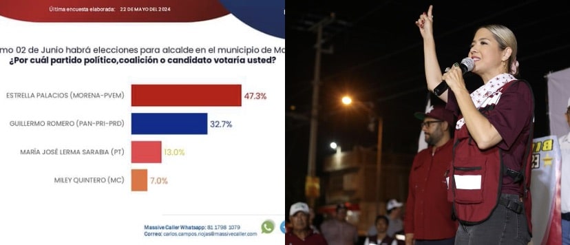 Estrella Palacios, MORENA