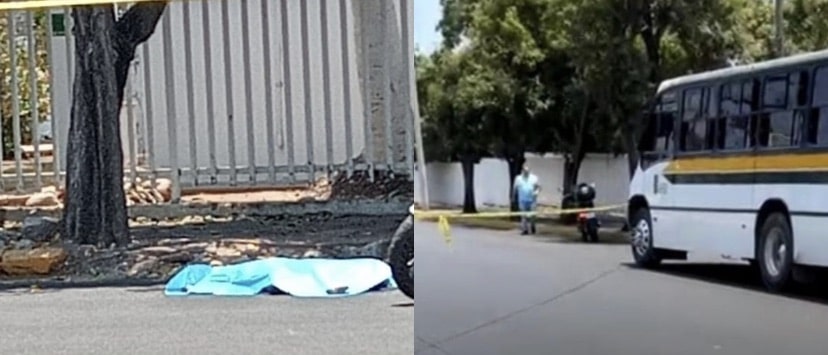 atropellado, Mazatlán